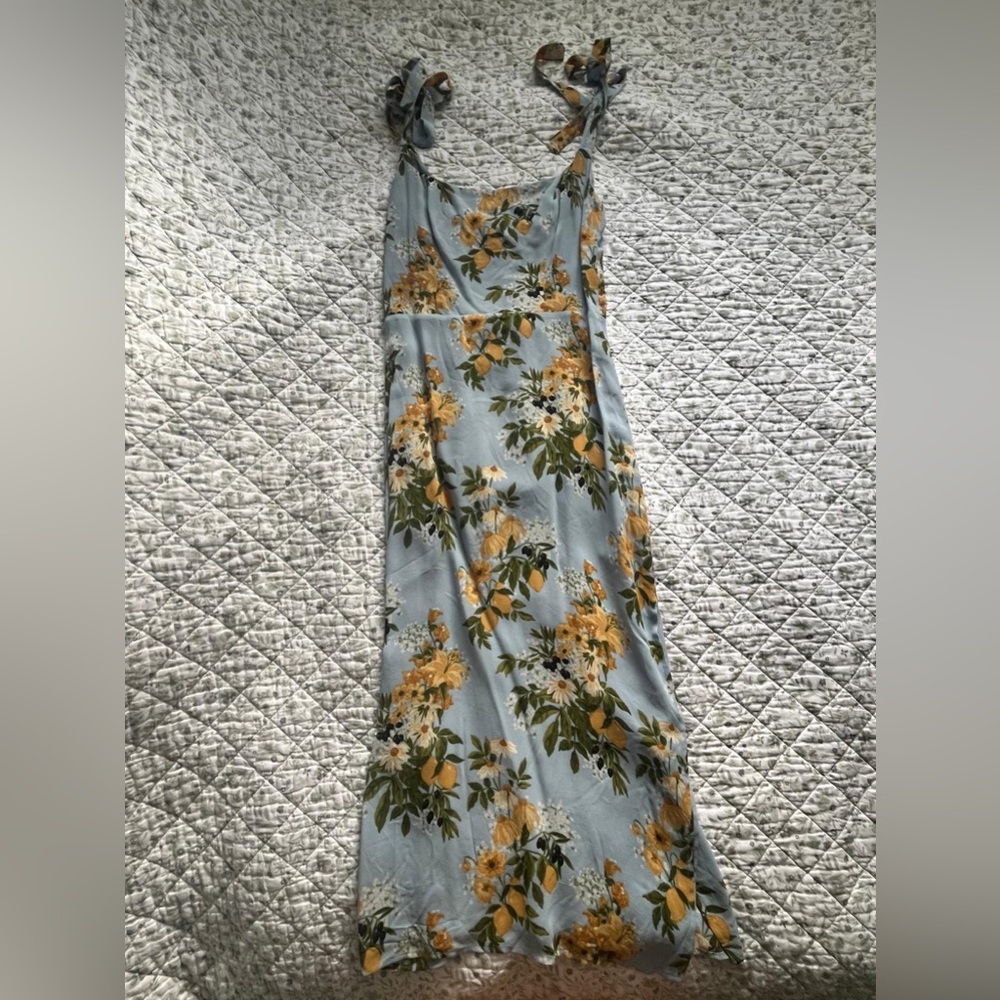 Reformation Floral Blue cottage core Dress size 0